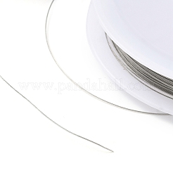 ナイロン被覆ステンレス鋼  タイガーテールワイヤー  ラウンド  DIYビーズジュエリー作り用  ステンレス鋼色  0.38mm  約65.62フィート（20m）/ pc&nbsp;TWIR-H003-01B-P