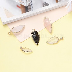 天然石ペンダント  真鍮パーツ  ゴールドカラー  25~50x15~25x5~15mm  穴：7x4mm&nbsp;G-Q490-A-M