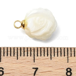Natural Trochid Shell/Trochus Shell Double-Sided Carved Charms&nbsp;PALLOY-JF05484