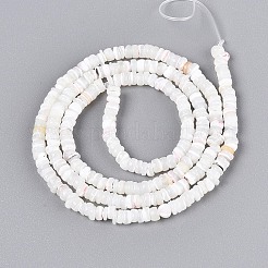 Natural Trochid Shell/Trochus Shell Beads Strands&nbsp;SSHEL-N040-21H