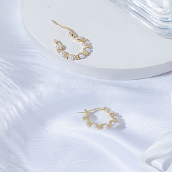 1 Pair Zinc Alloy Hoop Earrings&nbsp;EJEW-LP0003-66P
