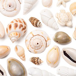 DIY Conch Shell Starfish Turtles Beads Findings Kits&nbsp;DIY-FS0010-25