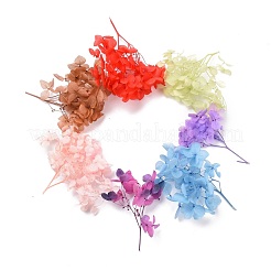Dried Flowers&nbsp;DIY-D052-17