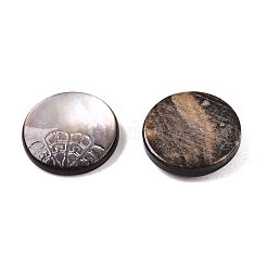 Natural Black Lip Shell Carved Cabochons&nbsp;SSHEL-T017-04D