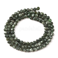 Natural Seraphinite Beads Strands&nbsp;G-K376-A02-4mm