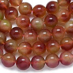 Natural Malaysia Jade Beads Strands&nbsp;G-B165-C05-14mm