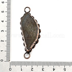 真鍮パヴェ天然ラブラドライトフェザーコネクターチャーム  赤銅鉱  39.5~51x14~21x5~8.5mm  穴：4mm&nbsp;G-Q350-03A