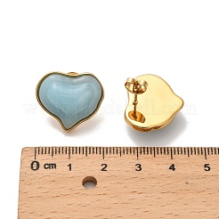 304 Stainless Steel Plastic Stud Earrings&nbsp;EJEW-P316-15G
