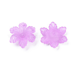 Transparent Acrylic Beads&nbsp;MACR-S373-117-D04