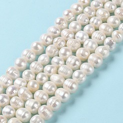 Natural Cultured Freshwater Pearl Beads Strands&nbsp;PEAR-E018-07