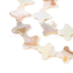 電気メッキ天然淡水シェルビーズ連売り  スター  ABカラー  貝殻色  11.5~13x11.5~13x2~3.5mm  穴：0.6mm  約32個/連  15.35~15.55インチ（39~39.5cm）&nbsp;SHEL-N038-28