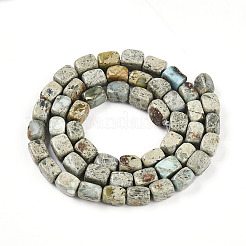 Natural Variscite Beads Strands&nbsp;G-N346-04A-11
