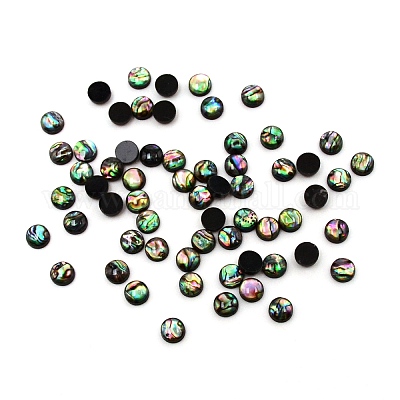 パウアシェルカボション  半円  8x3mm&nbsp;SHEL-WH0001-002A-1