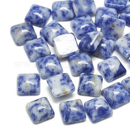 Natural Blue Spot Jasper Cabochons&nbsp;G-T026-10x10-15-1