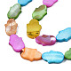 Natural Freshwater Shell Beads Strands&nbsp;SHEL-S278-02-B02-3