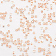 6/0 Transparent Glass Round Seed Beads&nbsp;SEED-J010-F6-L36-3