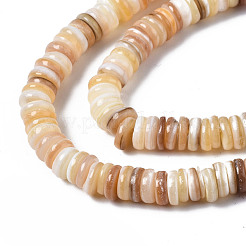 Natural Freshwater Shell Beads Strands&nbsp;SHEL-Q025-001
