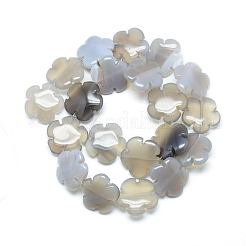 天然石グレーアゲートビーズ連売り  花  15.5~16x16x6mm  穴：1mm  約25個/連  15.1インチ&nbsp;G-T003-16mm-14