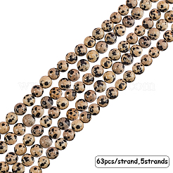 Natural Dalmatian Jasper Stone Bead Strands&nbsp;G-OC0001-56