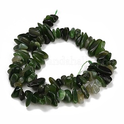 天然カナダ翡翠ビーズ連売り  チップ  8~18.5x6.5~10x1.5~7mm  穴：0.7~1mm  約96~130個/連  15.94''（40.5センチメートル）&nbsp;GG-CBAC61B-C07-01