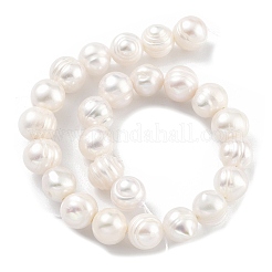 天然養殖淡水パールビーズ連売り  ポテト  ベージュ  7~8mm  穴：0.6mm  約26個/連  6.69インチ（17cm）&nbsp;PEAR-C003-09C