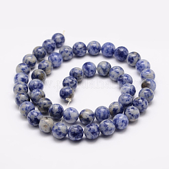Natural Blue Spot Jasper Bead Strands&nbsp;X-G-R193-15-6mm