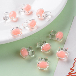 Transparent Acrylic Beads&nbsp;TACR-S152-05A-SS2109