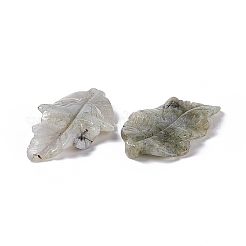 天然石ラブラドライトペンダント  葉のチャーム  41.5x25~26x5mm  穴：0.8mm&nbsp;G-I336-01-12