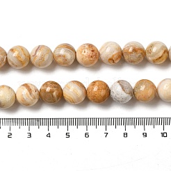 Natural Crazy Lace Agate Beads Strands&nbsp;G-H298-A12-05