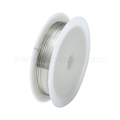 Round Iron Wire&nbsp;MW-R001-0.5mm-07