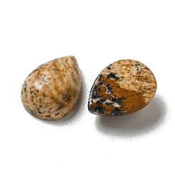 天然石ピクチャージャスパーカボション  ティアドロップ  8x6x3mm&nbsp;G-Q173-02B-13