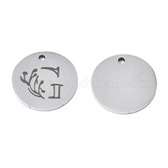 Non-Tarnish 304 Stainless Steel Charms&nbsp;STAS-T059-26P-G