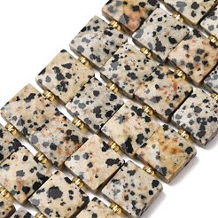 Natural Dalmatian Jasper Beads Strands&nbsp;G-F839-A19-01