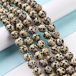 Natural Dalmatian Jasper Beads Strands&nbsp;G-Q462-10mm-30