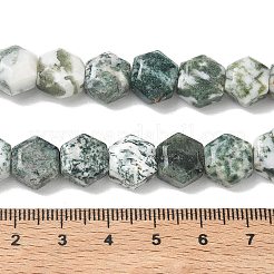 Natural Tree Agate Beads Strands&nbsp;G-G463-A07-10x11mm
