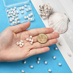 1連売り天然ケシパールビーズ連売り  養殖淡水パール  オーバル  貝殻色  6~7x5~6mm  穴：0.6mm  約70~73個/連  15.16インチ（38.5cm）&nbsp;PEAR-SC0001-38
