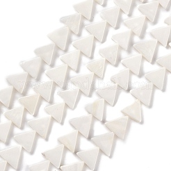 Natural Freshwater Shell Beads Strands&nbsp;BSHE-E028-02