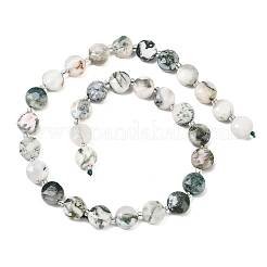 Natural Tree Agate Beads Strands&nbsp;G-F812-C05-01