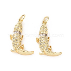 Brass Micro Pave Cubic Zirconia Pendants&nbsp;ZIRC-P106-18G