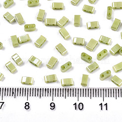 FGB 2-Hole Glass Seed Beads&nbsp;X-SEED-S031-M-SH124