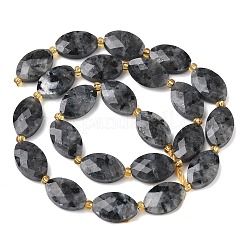 Natural Larvikite Beads Strands&nbsp;G-A295-A03-01