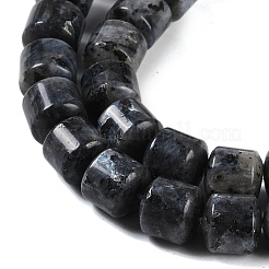 Natural Larvikite Beads Strands&nbsp;G-L604-E07-01