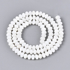 Natural Freshwater Shell Beads Strands&nbsp;SHEL-N038-30