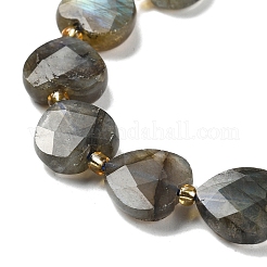 Natural Labradorite Beads Strands&nbsp;G-B044-B21-01