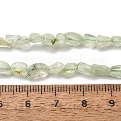 天然石プレナイトビーズ連売り  ナゲット  5~9x4~6x3~4.5mm  穴：0.7mm  約75~89個/連  15.35''（39cm）〜15.94''（40.5cm）&nbsp;G-I389-A19
