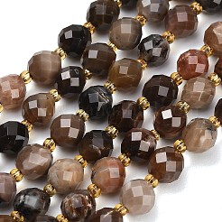 天然石ペトリファイドウッドビーズ連売り  ラウンド  多面カット  シードビーズで  8~9x7~8mm  穴：1mm  約18~20個/連  7.48''（19cm）〜7.87''（20cm）&nbsp;GG-CBA4A3B-A08