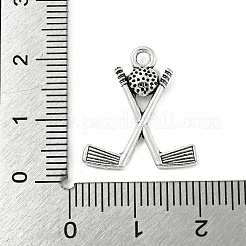 合金のチベット風チャーム  スポーツ用品  ニッケル  アンティークシルバー  20x18x3mm  穴：2mm&nbsp;TIBE-Q098-13A