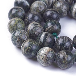 Natural Green Zebra Jasper Beads Strands&nbsp;G-F642-08-B