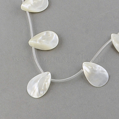 Natural Sea Shell Beads Strands&nbsp;SSHEL-Q296-01