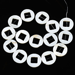 Natural Freshwater Shell Beads Strands&nbsp;SHEL-N026-171